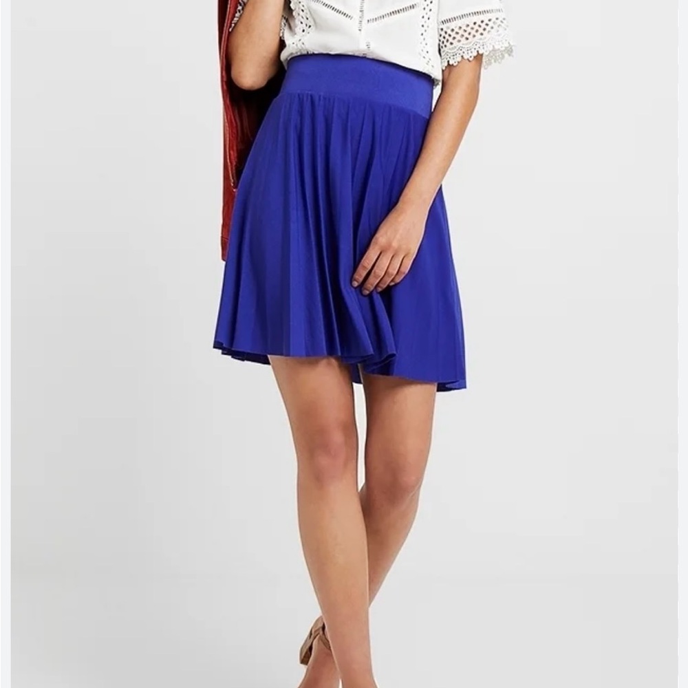 GAP Royal Blue Circle Skirt
